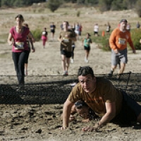 _P9I7808 • <a style="font-size:0.8em;" href="http://www.flickr.com/photos/72585889@N02/6838252801/" target="_blank">View on Flickr</a>