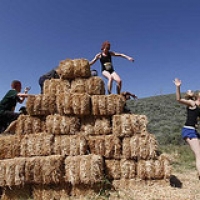 Down & Dirty Los Angeles 2010 • <a style="font-size:0.8em;" href="http://www.flickr.com/photos/72585889@N02/6842305503/" target="_blank">View on Flickr</a>