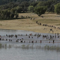 _p9i7750[1] • <a style="font-size:0.8em;" href="http://www.flickr.com/photos/72585889@N02/6838272795/" target="_blank">View on Flickr</a>