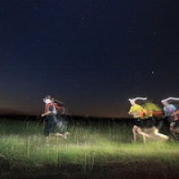 Down & Dirty Chicago Night Run 2011 • <a style="font-size:0.8em;" href="http://www.flickr.com/photos/72585889@N02/6842475357/" target="_blank">View on Flickr</a>