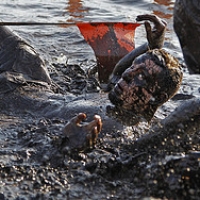  • <a style="font-size:0.8em;" href="http://www.flickr.com/photos/72585889@N02/7159234364/" target="_blank">View on Flickr</a>