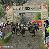 DownAndDirtyLA2013byCruse1141Web • <a style="font-size:0.8em;" href="http://www.flickr.com/photos/72585889@N02/8659091346/" target="_blank">View on Flickr</a>