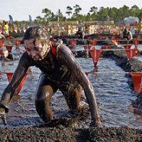  • <a style="font-size:0.8em;" href="http://www.flickr.com/photos/72585889@N02/7159234634/" target="_blank">View on Flickr</a>