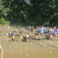 2012MDDNYFlickr122 • <a style="font-size:0.8em;" href="http://www.flickr.com/photos/72585889@N02/8114514447/" target="_blank">View on Flickr</a>