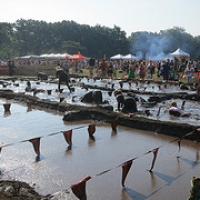 IMG_1150 • <a style="font-size:0.8em;" href="http://www.flickr.com/photos/72585889@N02/7866580706/" target="_blank">View on Flickr</a>