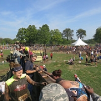 IMG_1172 • <a style="font-size:0.8em;" href="http://www.flickr.com/photos/72585889@N02/7866677906/" target="_blank">View on Flickr</a>