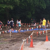 IMG_0968 • <a style="font-size:0.8em;" href="http://www.flickr.com/photos/72585889@N02/7576369044/" target="_blank">View on Flickr</a>